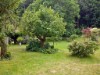 Bilde 2