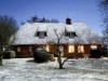 Bild 36