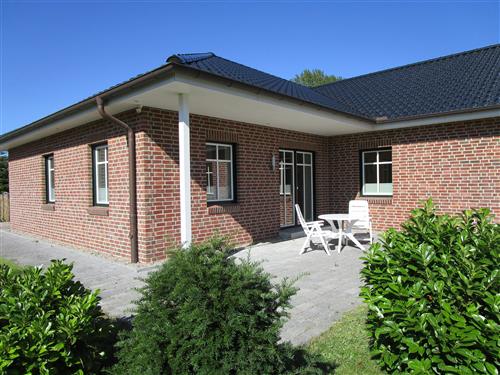Ferieleilighet - 1 person -  - Am Sportplatz - 23769 - Fehmarn