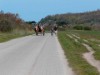 Billede 16
