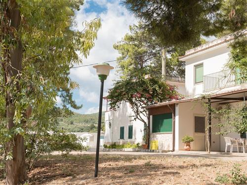 Feriehus / leilighet - 6 personer -  - 71019 - Vieste (Fg)