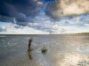 Bild 19