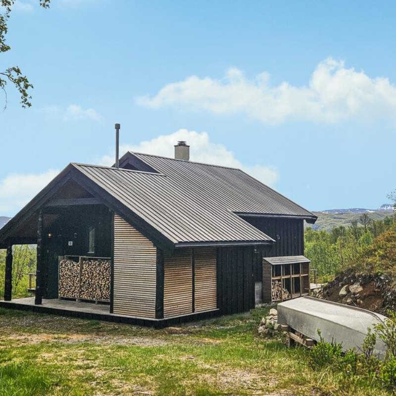 Sommerhus - 9 personer -  - Skytjeåsen - Edland, Hauklifjell - 3895 - Edland