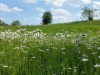 Bild 118