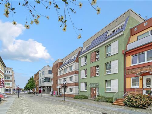 Ferielejlighed - 2 personer -  - Knopfstraße - 17489 - Greifswald