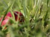 Bild 18