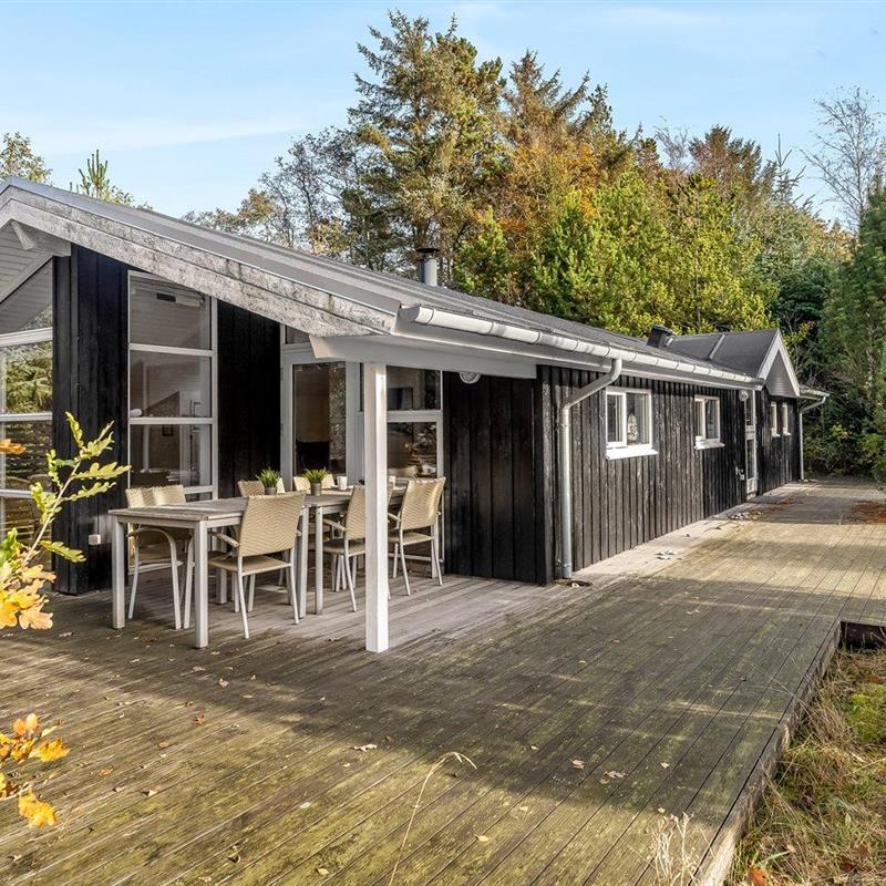 Ferienhaus - 6 Personen -  - Birkevej - Kollerup - 9690 - Fjerritslev