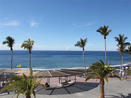 Ferielejlighed - 4 personer -  - Paseo Maritimo - 38769 - Puerto De Naos
