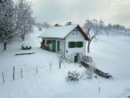 Fritidshus - 4 personer -  - Hammerlberg - 7522 - Strem