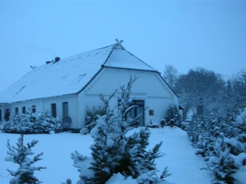 Sommerhus - 3 personer -  - 21400 - Reinstorf-Horndorf