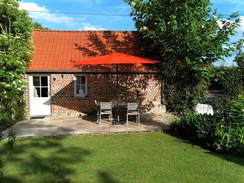 Ferienhaus - 8 Personen -  - Gauquier - 7890 - Ellezelles