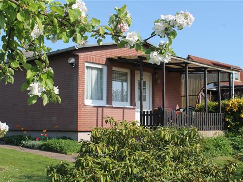 Holiday Home/Apartment - 3 persons -  - 23946 - Boltenhagen