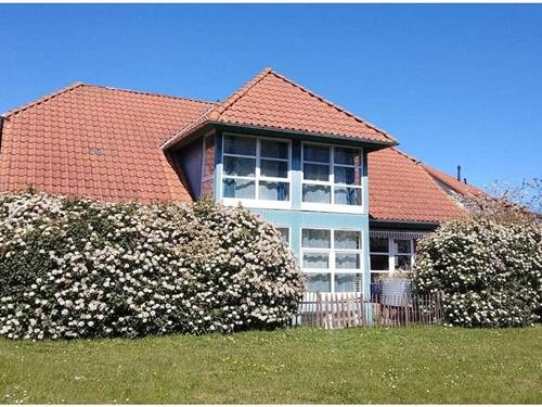 Feriehus - 3 personer -  - 18556 - Putgarten