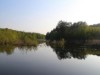 Image 14