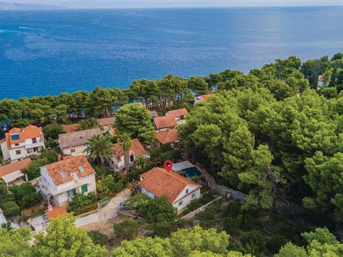 Feriehus / leilighet - 6 personer -  - Vitarnja - Hvar-Jelsa - 21465 - Jelsa