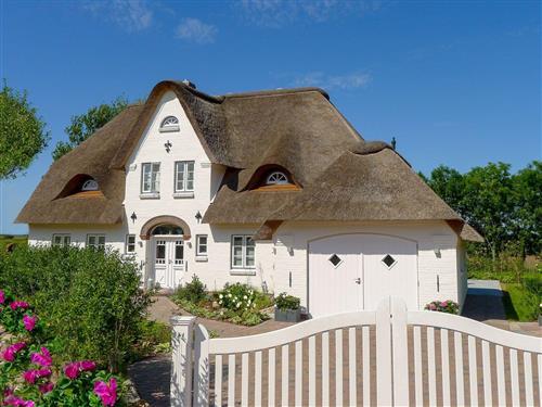 Sommerhus - 6 personer -  - Buurnstrat - 25938 - Oevenum