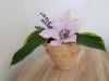 Bild 24