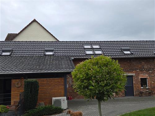 Ferieleilighet - 4 personer -  - Peitzer Straße - 03185 - Teichland