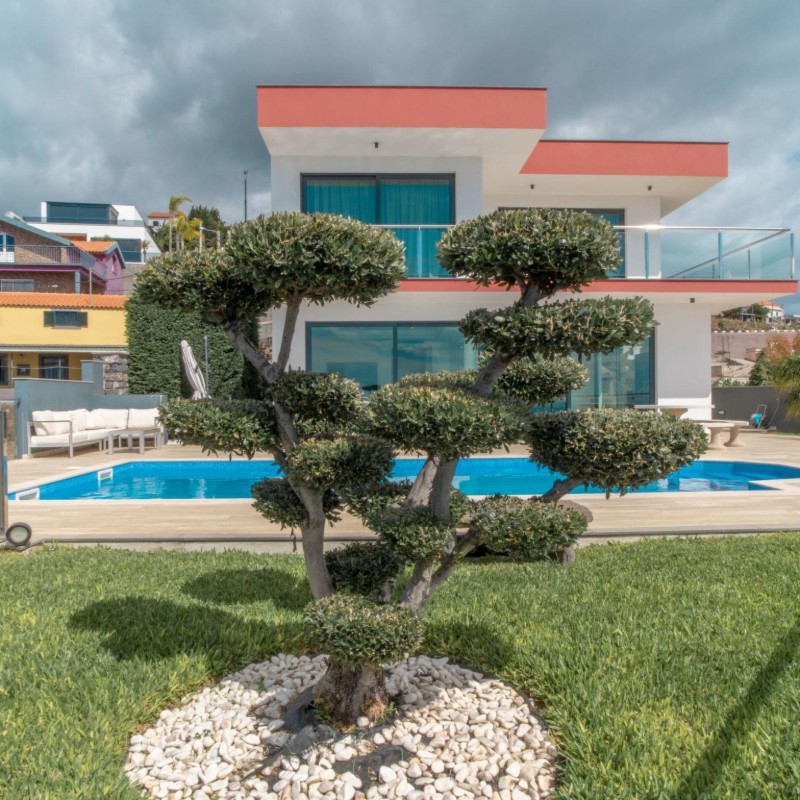 Sommerhus - 9 personer -  - 9350 - Ribeira Brava (Madeira)