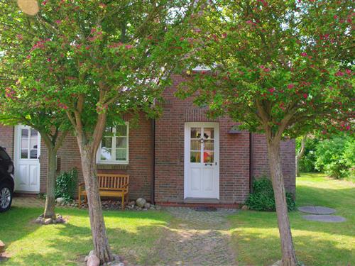 Sommerhus - 4 personer -  - Norderpiep - Friedrichskoog-Spitze - 25718 - Dithmarschen