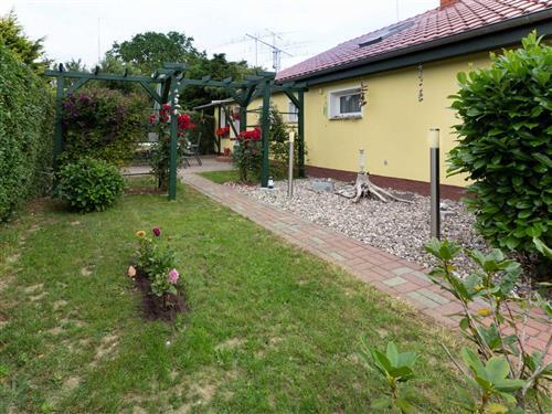 Feriehus - 4 personer -  - Alte Feldstraße - 18528 - Bergen Auf Rügen / Thesen