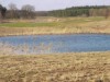 Image 101