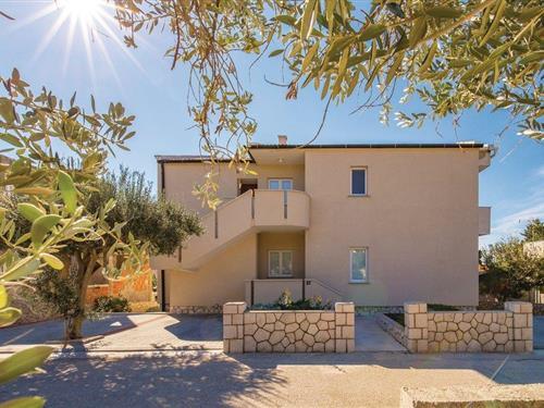 Holiday apartment - 3 persons -  - Maunska - Pag-Mandre - 23251 - Mandre