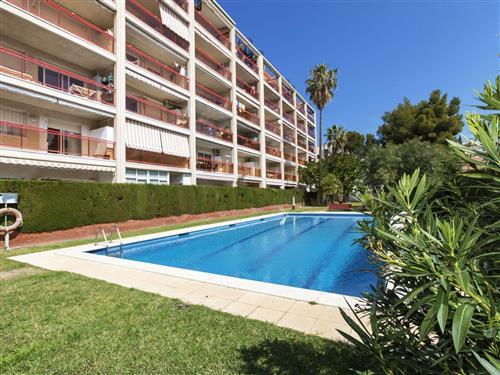 Ferieleilighet - 4 personer -  - Miami Platja - 43892