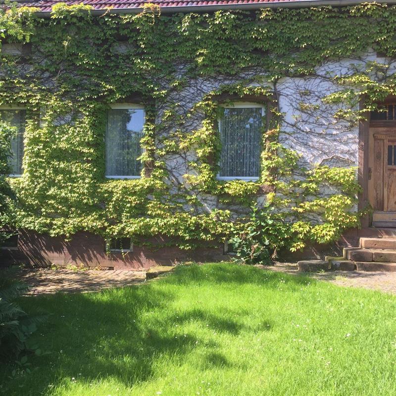 Ferielejlighed - 4 personer -  - Hauptstr. - 66919 - Saalstadt