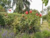Bild 34 - Ude