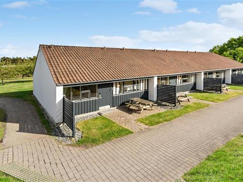 Sommerhus - 6 personer -  - Lille Amerika 10 lejl. - 8883 - Gjern