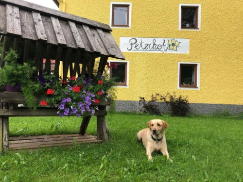 Bondegård - 4 personer -  - Tambergau - 4573 - Hinterstoder