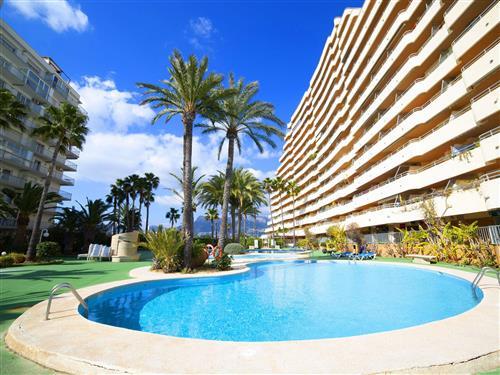 Ferienhaus - 6 Personen -  - Calpe/Calp - 03710