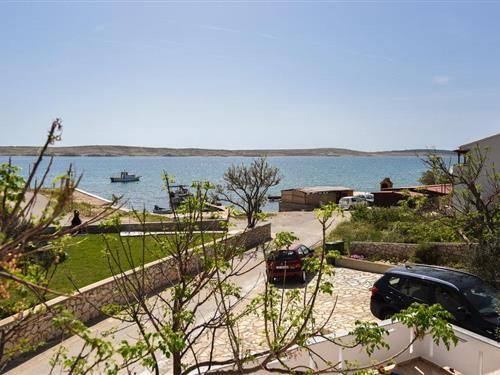 Holiday apartment - 4 persons -  - Kustici - Pag - Kustici - 53296 - Kustici