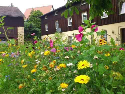 Ferieleilighet - 4 personer -  - 01796 - Struppen