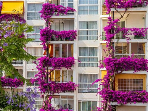 Ferielejlighed - 4 personer -  - 29620 - Torremolinos