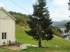 Bild 36 - Ude