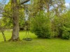 Billede 19 - Grund