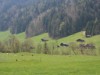 Bilde 9 - Ude