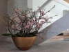 Bild 32