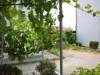 Bild 36