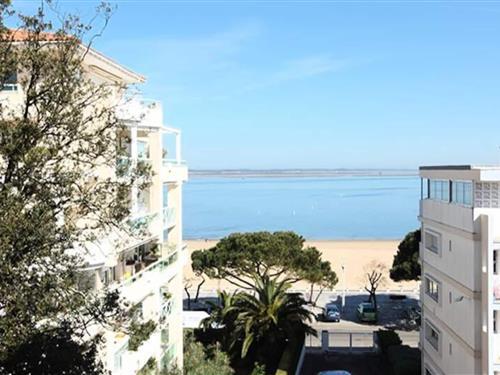 Sommerhus - 5 personer -  - 33120 - Arcachon