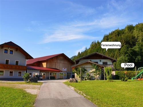 Bondegård - 8 personer -  - Rafflweg - 5324 - Faistenau