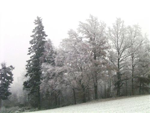 Ferieleilighet - 5 personer -  - Haidach - 4863 - Seewalchen Am Attersee