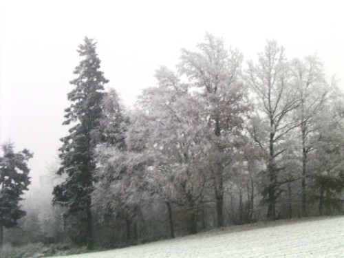 Ferienwohnung - 5 Personen -  - Haidach - 4863 - Seewalchen Am Attersee