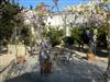 Image 30 - Outside