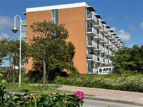 Ferienwohnung - 3 Personen -  - Kjeirstraße - 25980 - Sylt/Westerland