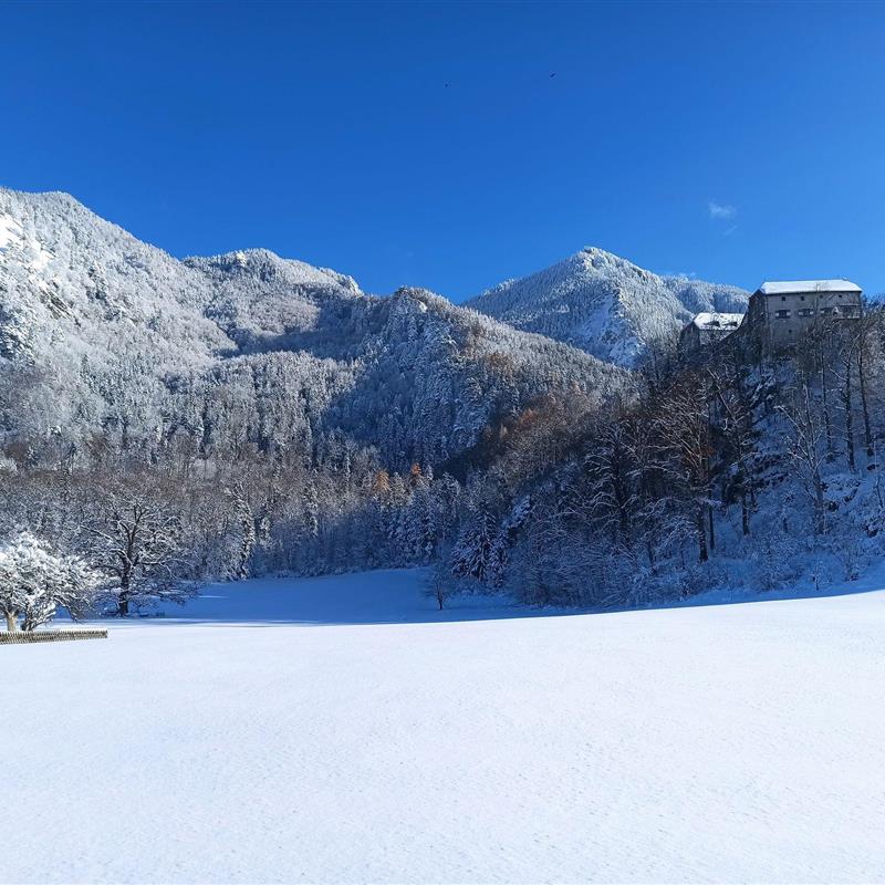 Ferielejlighed - 4 personer -  - Festenfeldstraße - 83250 - Marquartstein