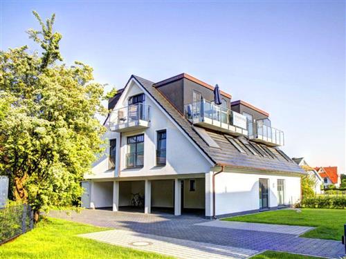 Ferielejlighed - 2 personer -  - Seestraße - 18374 - Ostseebad Zingst A Darß