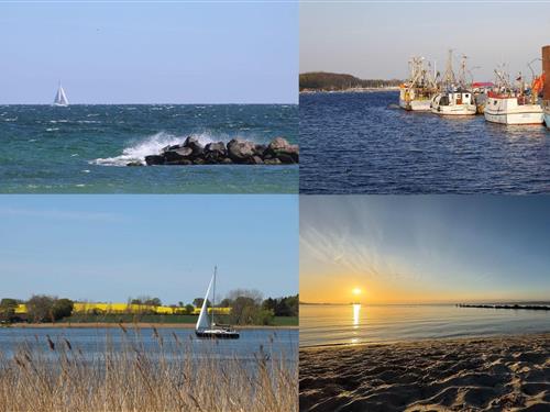 Ferienwohnung - 4 Personen -  - Rommelsworth - 24360 - Barkelsby